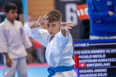 Andrei Negara,Bonstetten,Kata,2026,Shukokai Dojo Wetzikon-Volketswil-Winterthur,Zürcher Kantonalmeisterschaft,ZHKM