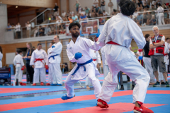 Peraveen Raveendran,Bonstetten,Kumite,2026,Shukokai Dojo Wetzikon-Volketswil-Winterthur,Zürcher Kantonalmeisterschaft,ZHKM