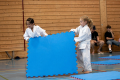 Sina Bertschinger,Mirza Wijdan,Bonstetten,2026,Shukokai Dojo Wetzikon-Volketswil-Winterthur,Zürcher Kantonalmeisterschaft,ZHKM