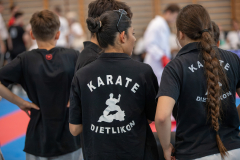 Karate Dietlikon,Bonstetten,2026,Zürcher Kantonalmeisterschaft,ZHKM