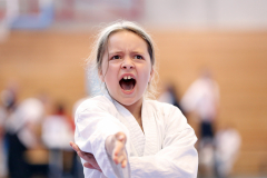 Kantonalmeisterschaft, Zürich, Bonstetten, 2023, Kata, Schweiz, Shukokai Dojo Wetzikon
