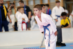 Kantonalmeisterschaft, Zürich, Bonstetten, 2023, Kata, Schweiz, Shukokai Dojo Wetzikon