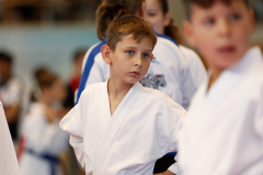 Kantonalmeisterschaft, Zürich, Bonstetten, 2023, Andrei Negara, Kata, Schweiz, Shukokai Dojo Wetzikon