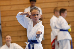 Kantonalmeisterschaft, Zürich, Bonstetten, 2023, Kata, Demetrius Monteleone, Schweiz, Shukokai Dojo Wetzikon