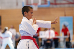 Kantonalmeisterschaft, Zürich, Bonstetten, 2023, Colin McGuinness, Kata, Schweiz, Shukokai Dojo Wetzikon