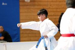 Kantonalmeisterschaft, Zürich, Bonstetten, 2023, Devrim Yildirim, Kata, Schweiz, Shukokai Dojo Wetzikon