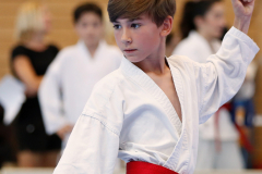 Kantonalmeisterschaft, Zürich, Bonstetten, 2023, Silvan Zängerle, Schweiz, Shukokai Dojo Wetzikon