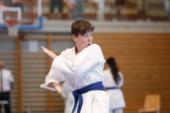 Kantonalmeisterschaft, Zürich, Bonstetten, 2023, Kata, Iven Krummenacker, Schweiz, Shukokai Dojo Wetzikon