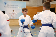 Kantonalmeisterschaft, Zürich, Bonstetten, 2023, Andy Gonzalez, Schweiz, Shukokai Dojo Wetzikon