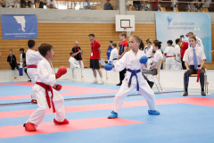 Kantonalmeisterschaft, Zürich, Bonstetten, 2023, Kumite, Demetrius Monteleone, Andy Gonzalez, Schweiz, Shukokai Dojo Wetzikon