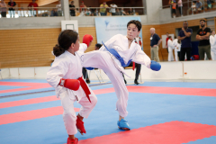 Kantonalmeisterschaft, Zürich, Bonstetten, 2023, Ron Nyffenegger, Kumite, Schweiz, Shukokai Dojo Wetzikon