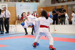 Kantonalmeisterschaft, Zürich, Bonstetten, 2023, Kumite, Ron Nyffenegger, Schweiz, Shukokai Dojo Wetzikon
