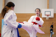 Kantonalmeisterschaft, Zürich, Bonstetten, 2023, Kumite, Schweiz, Shukokai Dojo Wetzikon