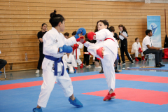 Kantonalmeisterschaft, Zürich, Bonstetten, 2023, Ron Nyffenegger, Kumite, Schweiz, Shukokai Dojo Wetzikon