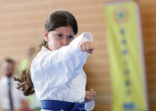 Kantonalmeisterschaft, Zürich, Bonstetten, 2025, Schweiz, Kata, Shukokai Dojo Wetzikon, Aya Haddouche