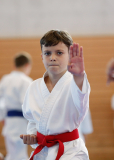 Kantonalmeisterschaft, Zürich, Bonstetten, 2025, Schweiz, Kata, Shukokai Dojo Wetzikon, Mihailo Babic