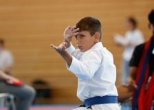 Kantonalmeisterschaft, Zürich, Bonstetten, 2025, Schweiz, Kata, Shukokai Dojo Wetzikon, Andrei Negara