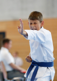 Kantonalmeisterschaft, Zürich, Bonstetten, 2025, Schweiz, Kata, Shukokai Dojo Wetzikon, Andrei Negara