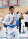 Kantonalmeisterschaft, Zürich, Bonstetten, 2025, Schweiz, Kata, Ryuei-ryu Karate Suisse, Marvin Eisenhut