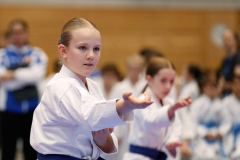 Kantonalmeisterschaft, Zürich, Bonstetten, 2024, Kata, Schweiz, Natalie Dusa, Shukokai Dojo Wetzikon