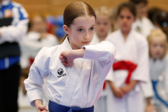 Kantonalmeisterschaft, Zürich, Bonstetten, 2024, Kata, Schweiz, Zoe Keller, Shukokai Dojo Wetzikon