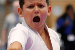 Kantonalmeisterschaft, Zürich, Bonstetten, 2024, Kata, Schweiz, Jori Tahiri, Shukokai Dojo Wetzikon