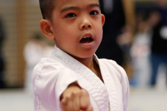 Kantonalmeisterschaft, Zürich, Bonstetten, 2024, Kata, Schweiz, Matthias Griego, Shukokai Dojo Wetzikon