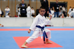 Kantonalmeisterschaft, Zürich, Bonstetten, 2024, Kata, Schweiz, Matthias Griego, Shukokai Dojo Wetzikon