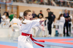 Kantonalmeisterschaft, Zürich, Bonstetten, 2024, Kata, Schweiz, Julia Weiss, Shukokai Dojo Wetzikon