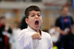 Kantonalmeisterschaft, Zürich, Bonstetten, 2024, Kata, Schweiz, Miraz Karaman, Shukokai Dojo Wetzikon