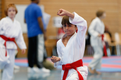 Kantonalmeisterschaft, Zürich, Bonstetten, 2024, Kata, Schweiz, Andy Gonzalez, Shukokai Dojo Wetzikon
