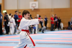 Kantonalmeisterschaft, Zürich, Bonstetten, 2024, Kata, Schweiz, Mihailo Babic, Shukokai Dojo Wetzikon