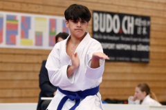 Kantonalmeisterschaft, Zürich, Bonstetten, 2024, Kata, Schweiz, Devrim Yildirim, Shukokai Dojo Wetzikon