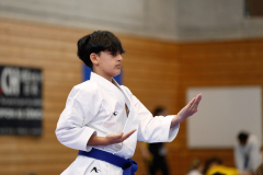 Kantonalmeisterschaft, Zürich, Bonstetten, 2024, Kata, Schweiz, Devrim Yildirim, Shukokai Dojo Wetzikon