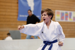 Kantonalmeisterschaft, Zürich, Bonstetten, 2024, Kata, Schweiz, Alessio Stagliano, Shukokai Dojo Wetzikon