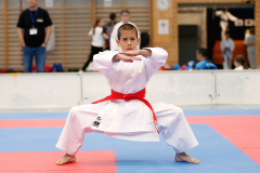 Kantonalmeisterschaft, Zürich, Bonstetten, 2024, Kata, Schweiz, Colin McGuinness, Shukokai Dojo Wetzikon