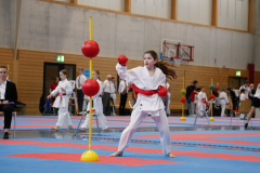 Kantonalmeisterschaft, Zürich, Bonstetten, 2024, Kumite am Ball, Schweiz
