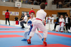 Kantonalmeisterschaft, Zürich, Bonstetten, 2024, Kumite, Schweiz
