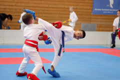 Kantonalmeisterschaft, Zürich, Bonstetten, 2024, Kata, Schweiz, Matthias Griego, Shukokai Dojo Wetzikon