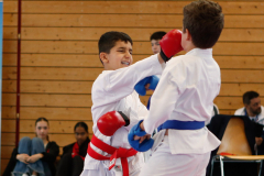 Kantonalmeisterschaft, Zürich, Bonstetten, 2024, Kumite, Schweiz