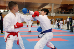 Kantonalmeisterschaft, Zürich, Bonstetten, 2024, Kumite, Schweiz, Arian Kesh, Shukokai Dojo Wetzikon
