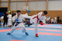 Kantonalmeisterschaft, Zürich, Bonstetten, 2024, Kumite, Schweiz, Dennis Alber, Yannis Manoussis, Shukokai Dojo Wetzikon, Shukokai Karate Do Zürich