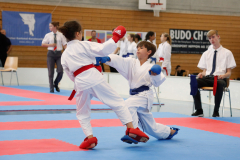 Kantonalmeisterschaft, Zürich, Bonstetten, 2024, Kumite, Schweiz, Andy Gonzalez, Shukokai Dojo Wetzikon