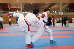 Kantonalmeisterschaft, Zürich, Bonstetten, 2024, Kumite, Schweiz, Devrim Yildirim, Shukokai Dojo Wetzikon