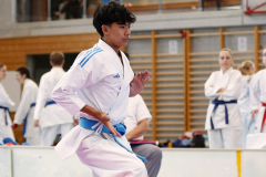 Kantonalmeisterschaft, Zürich, Bonstetten, 2024, Kata, Schweiz, Karl Ravas, Shukokai Dojo Wetzikon