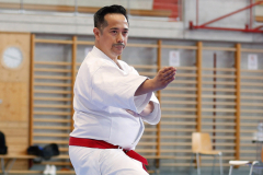 Kantonalmeisterschaft, Zürich, Bonstetten, 2024, Kata, Schweiz, Michael Ravas, Shukokai Dojo Wetzikon