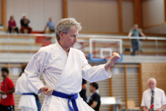 Kantonalmeisterschaft, Zürich, Bonstetten, 2024, Kata, Schweiz, Andreas Stucki, Shukokai Dojo Wetzikon