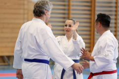 Kantonalmeisterschaft, Zürich, Bonstetten, 2024, Kata, Schweiz, Andreas Stucki, Michael Ravas, Arzu Sigillo, Shukokai Dojo Wetzikon
