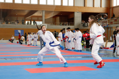 Kantonalmeisterschaft, Zürich, Bonstetten, 2024, Kumite, Schweiz, Larissa de Carlo, Shukokai Dojo Wetzikon