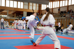 Kantonalmeisterschaft, Zürich, Bonstetten, 2024, Kumite, Schweiz, Larissa de Carlo, Shukokai Dojo Wetzikon